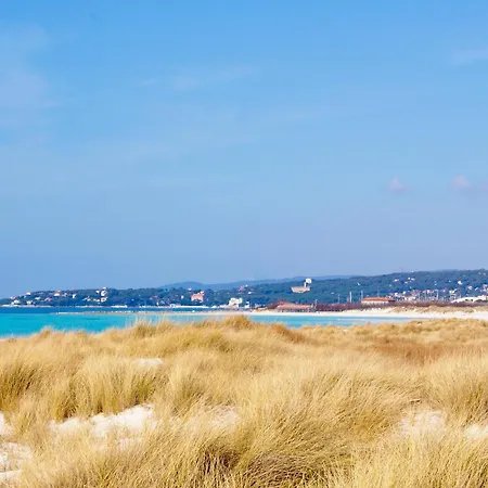 Cozy In With Wifi Σπίτι διακοπών Cecina (Livorno)